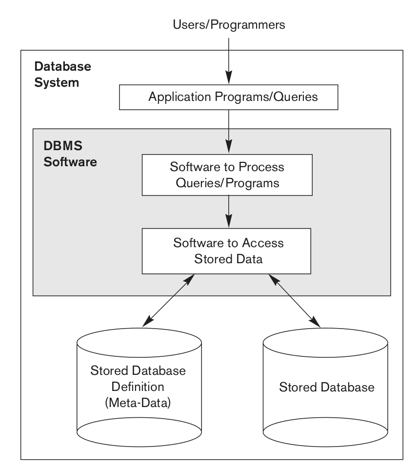 Database system environment